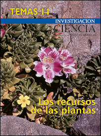 1998 Los Recursos De Las Plantas